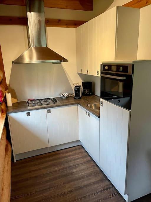 Unieke Houten Villa Met Sauna In Twente - 6P Den Ham Экстерьер фото
