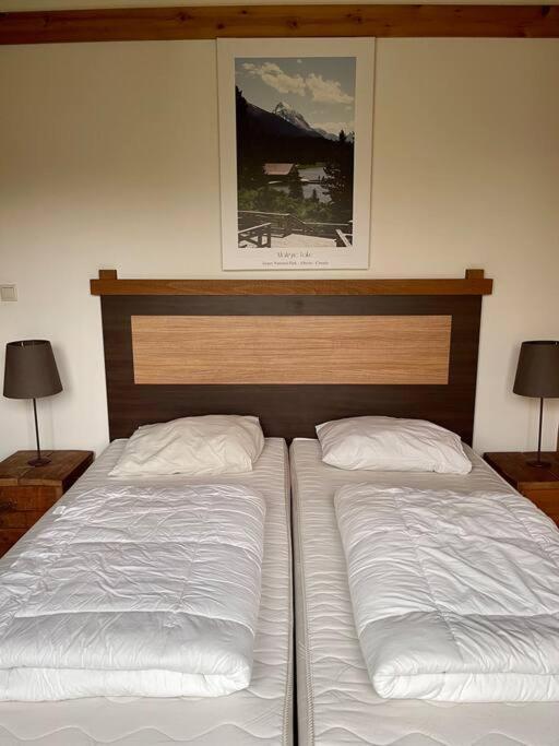 Unieke Houten Villa Met Sauna In Twente - 6P Den Ham Экстерьер фото